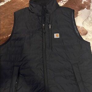 Carhartt Men's Dark Quilted Vest
